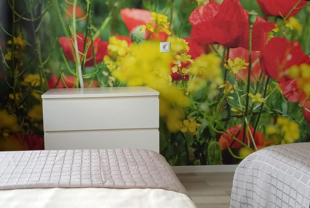 Abendsonne Apartments コブレンツ エクステリア 写真
