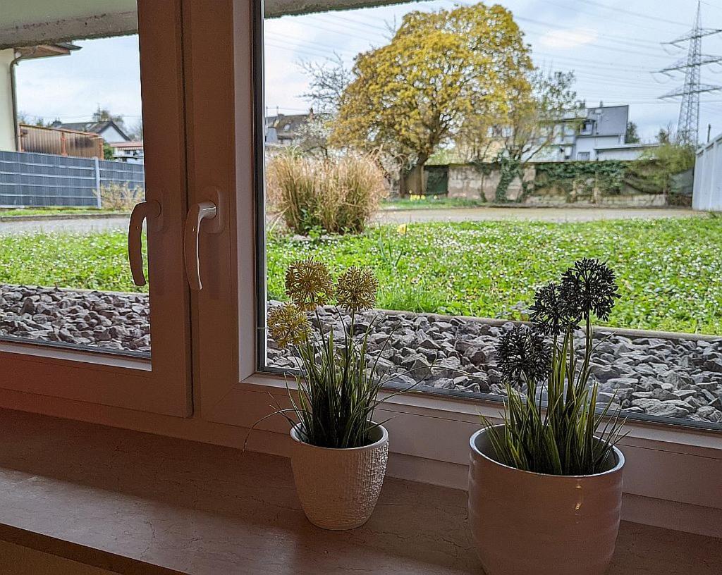 Abendsonne Apartments コブレンツ エクステリア 写真